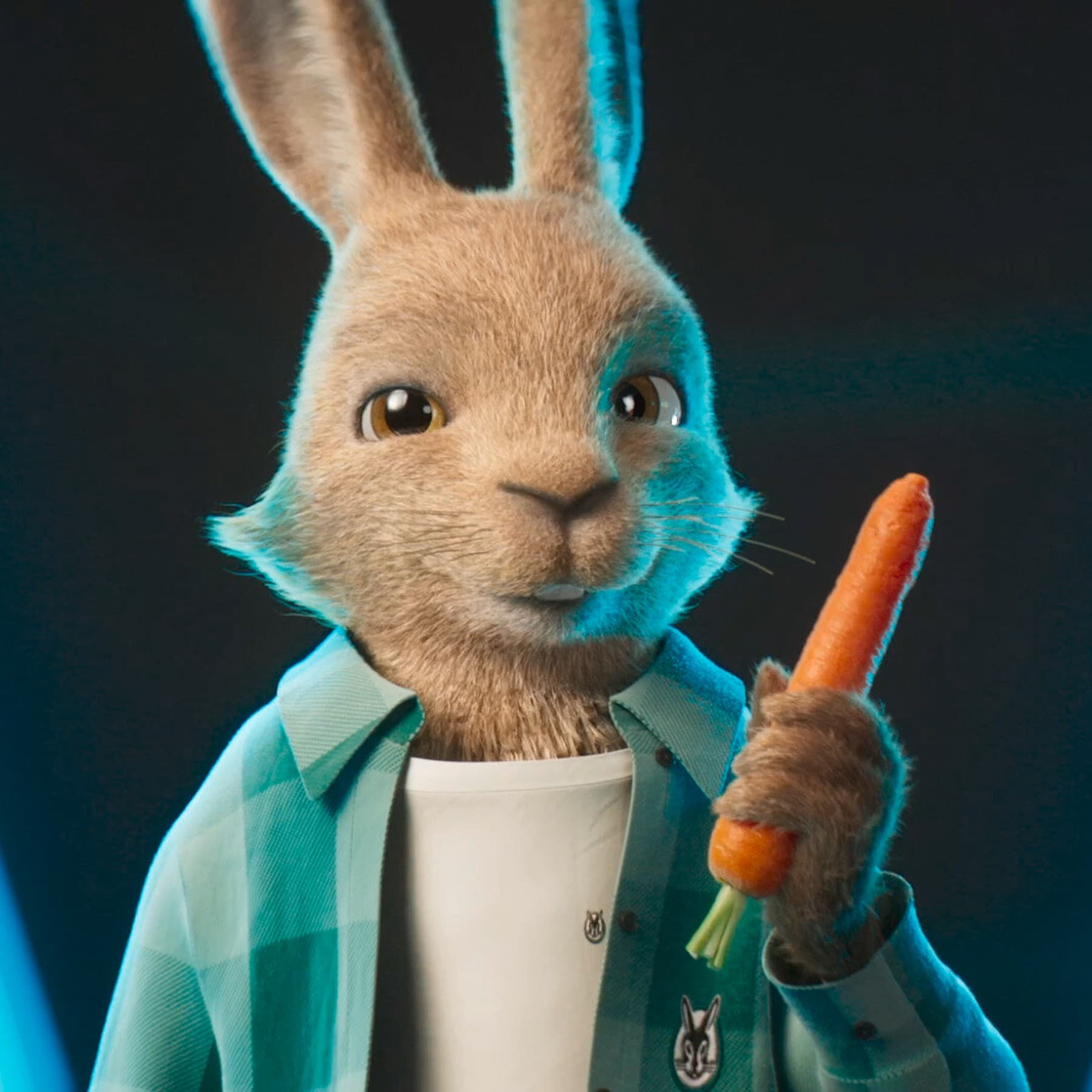 Der Vaillant Hase mit einer Karotte in der Hand