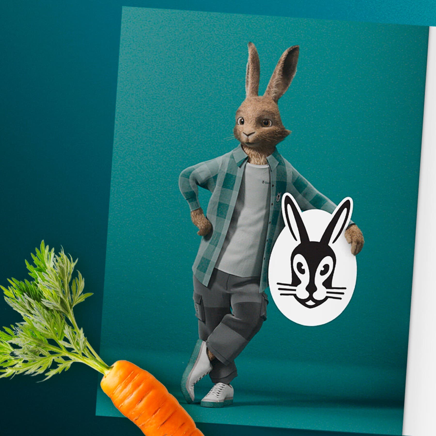 Vaillant Hase stehend