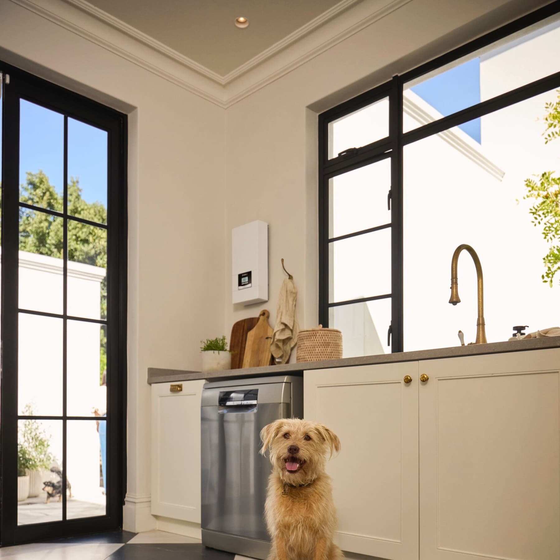 Hund sitzt auf Küchenboden