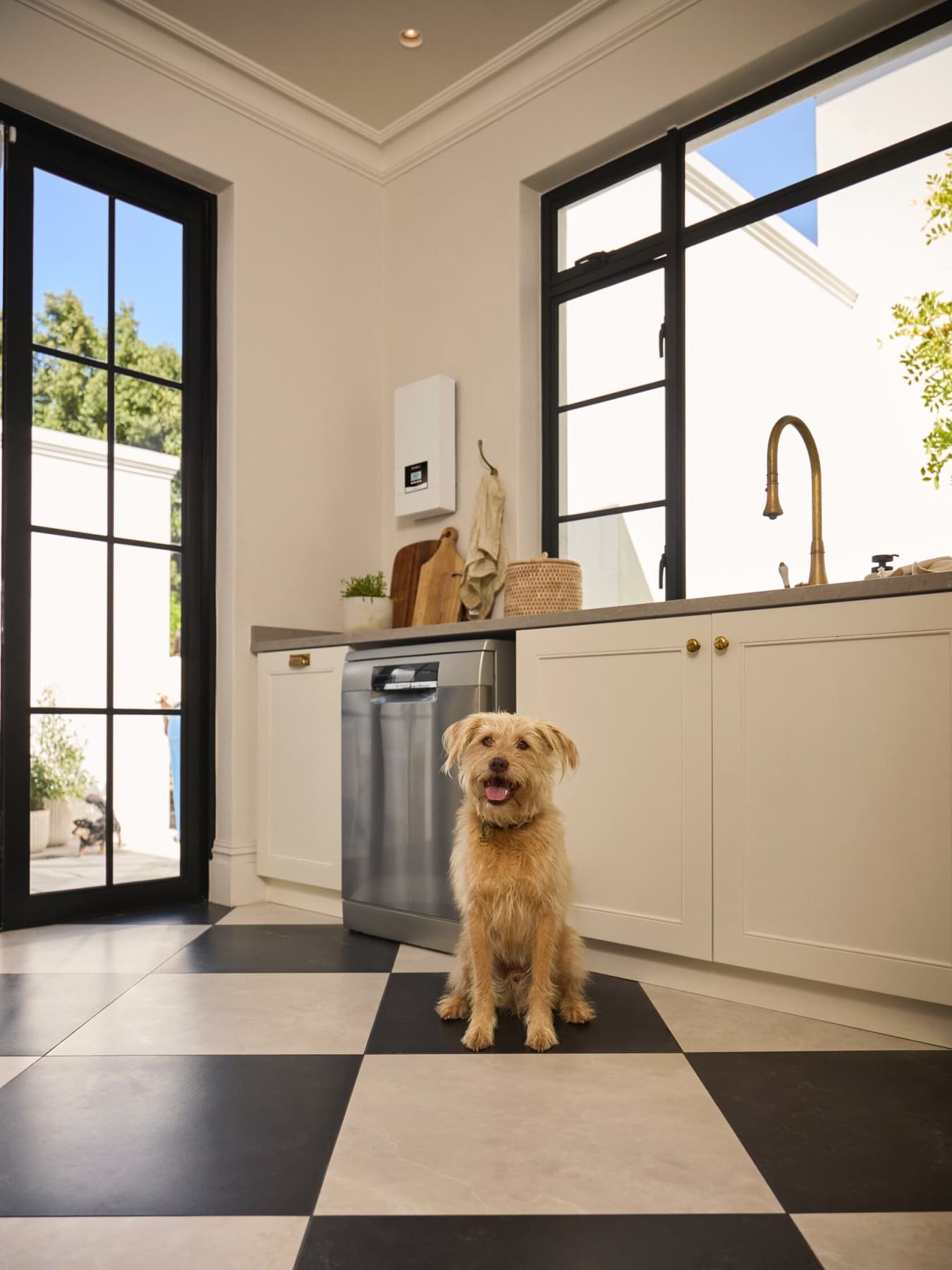 Hund sitzt auf Küchenboden