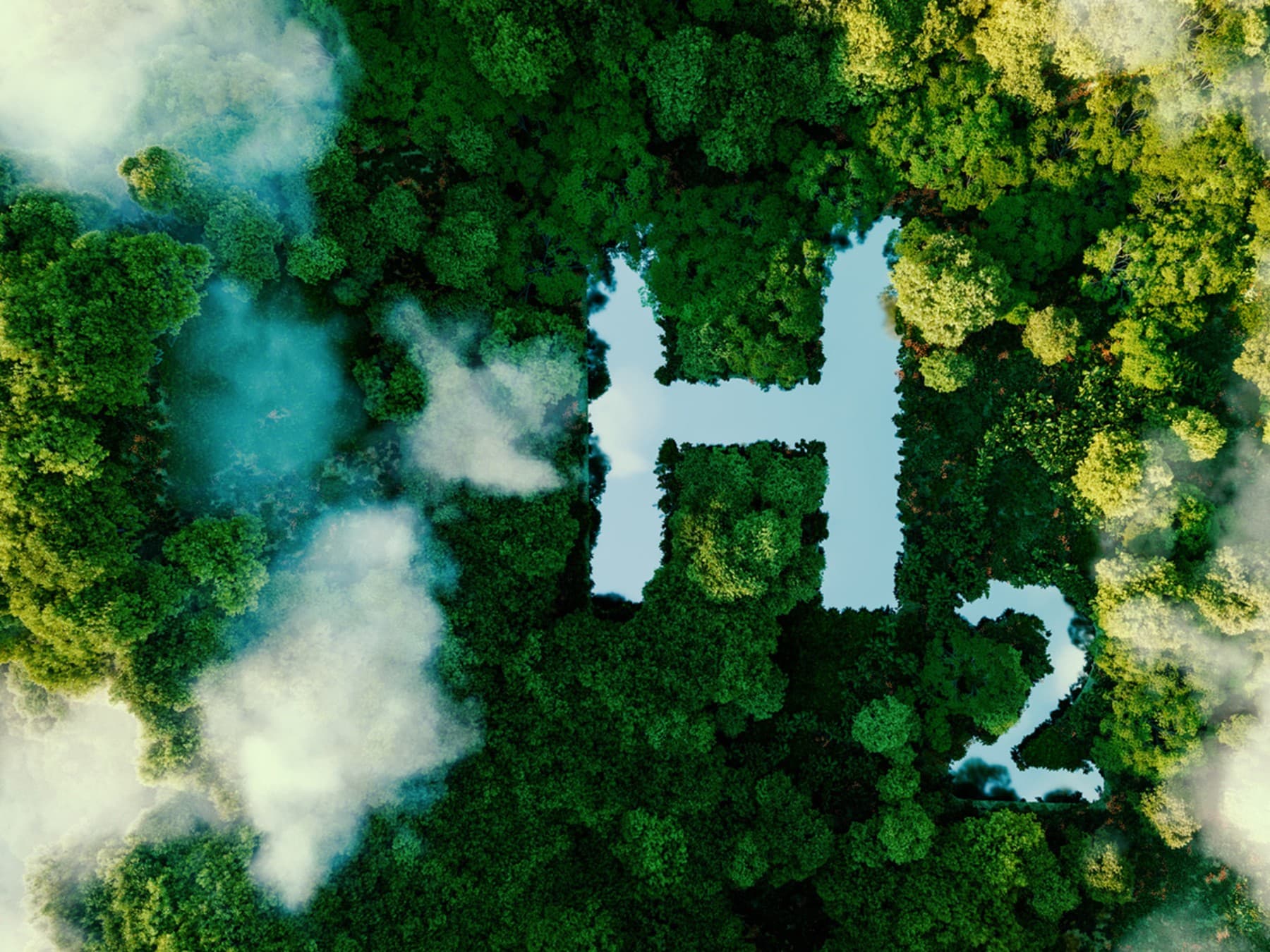 Wald mit einem Wasserstoffsymbol darin
