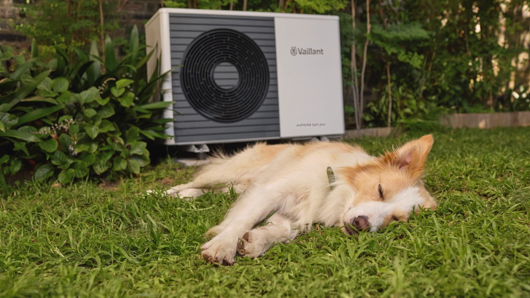 Ein Hund liegt im Gras und dahinter ist eine Wärmepumpe