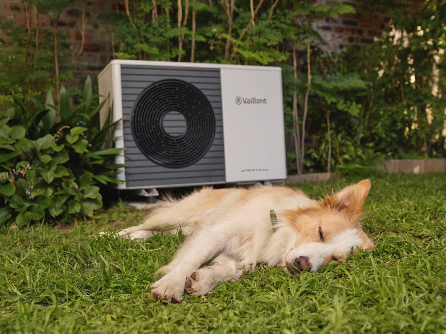 Ein Hund liegt schlafend im Garten vor einer Vaillant Wärmepumpe