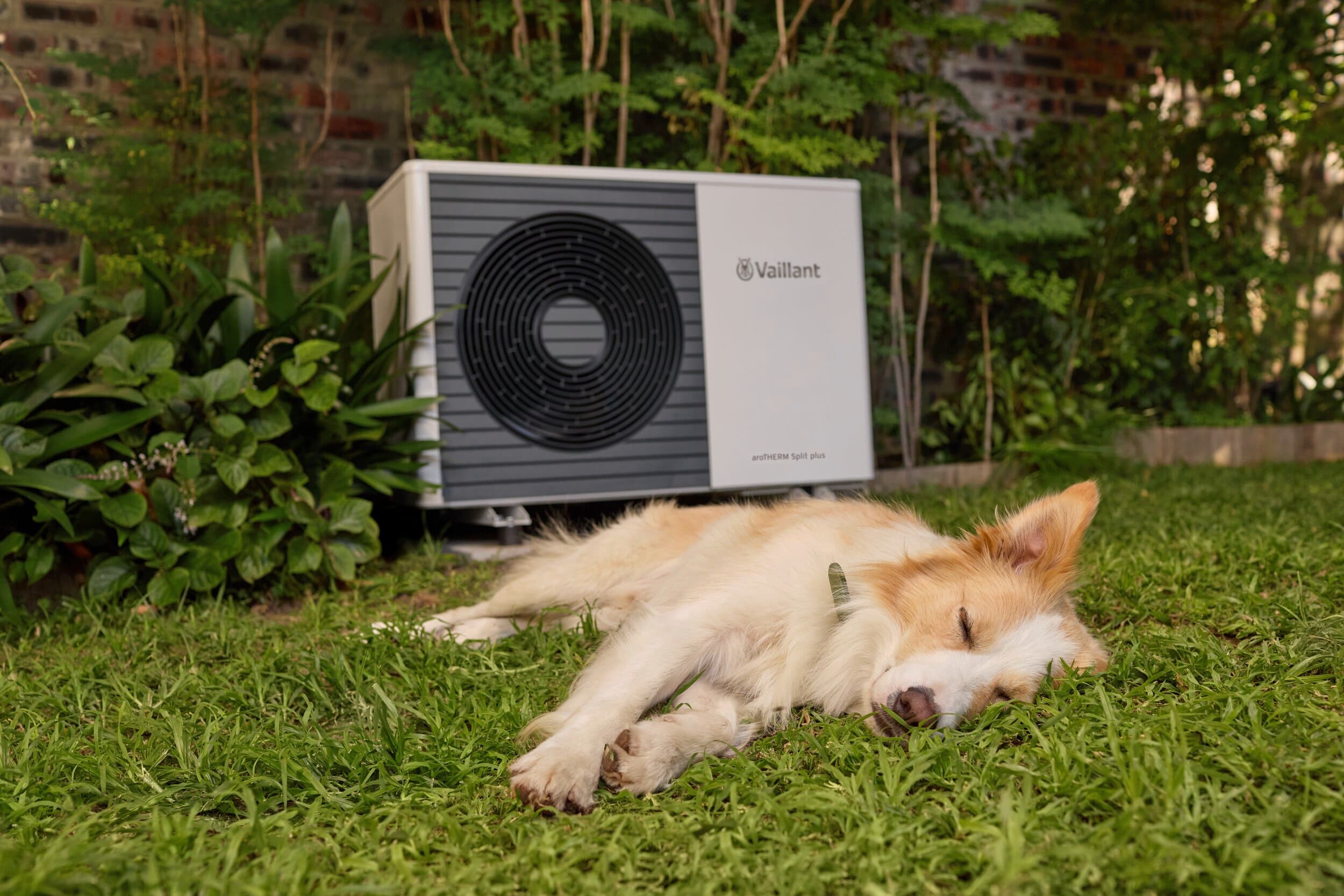 Hund liegt im Gras schlafend vor einer Wärmepumpe