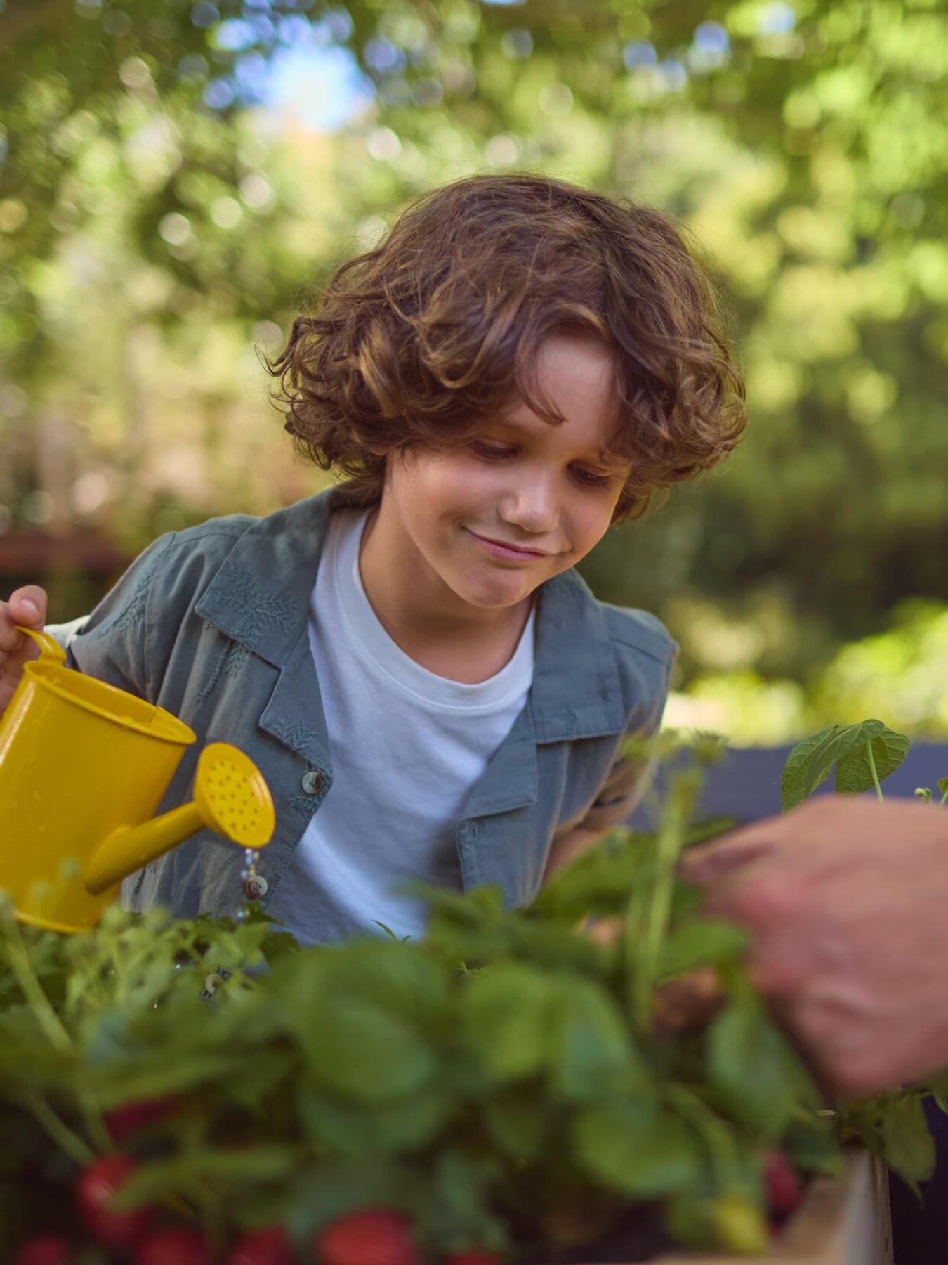 Kind und Vater gießen Erdbeeren im Garten, im Hintergrund eine Wärmepumpe