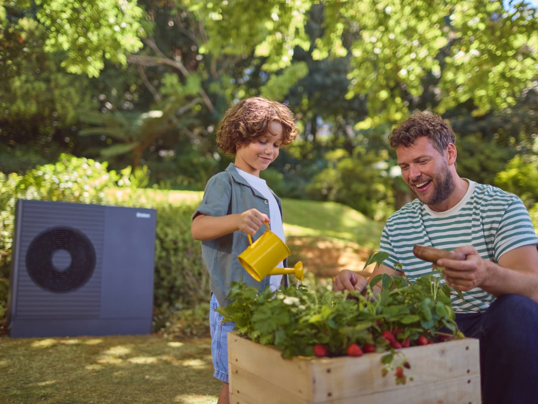 Vater und Sohn gießen Radieschen im Garten