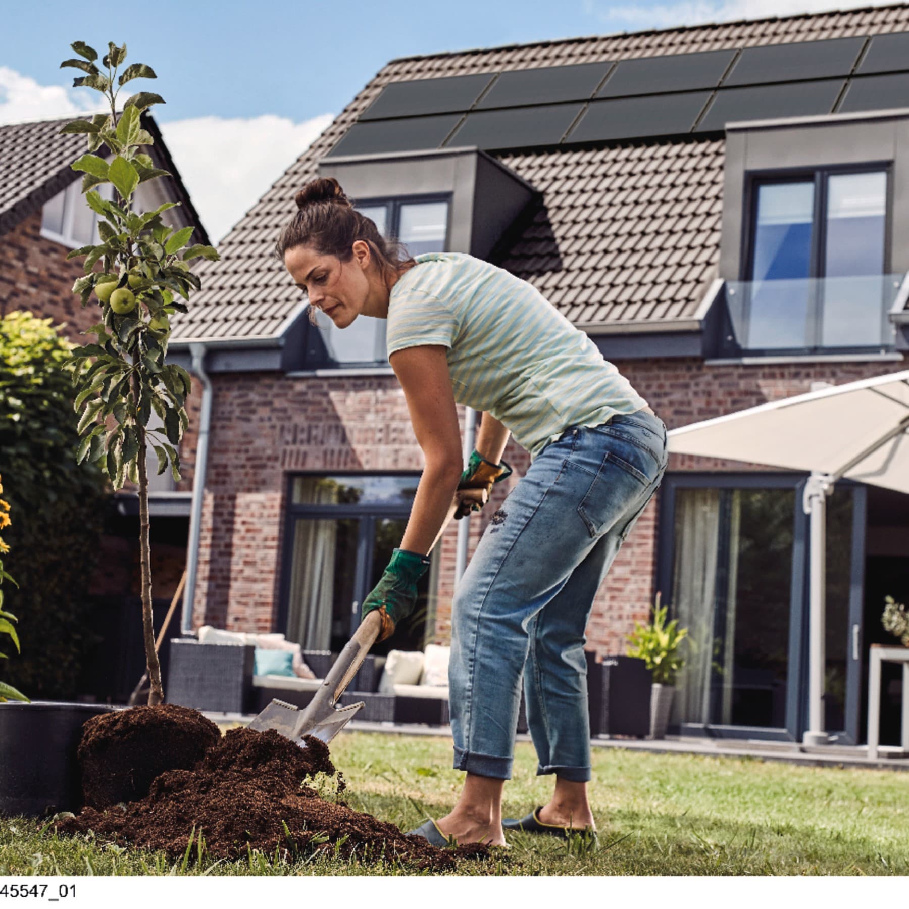 Frau arbeitet im Garten und Pflanzt einen Baum