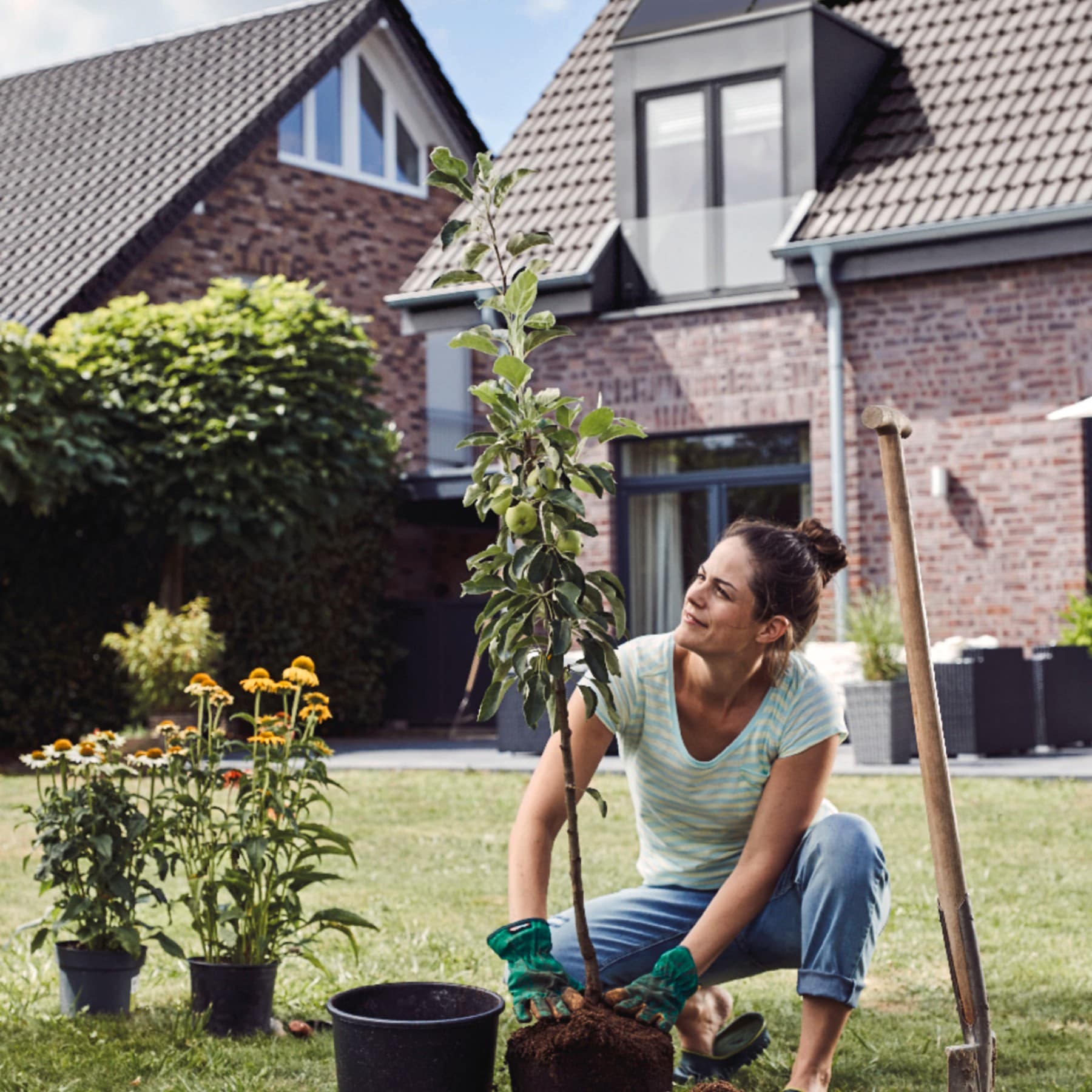 Frau pflanzt einen Baum im Garten