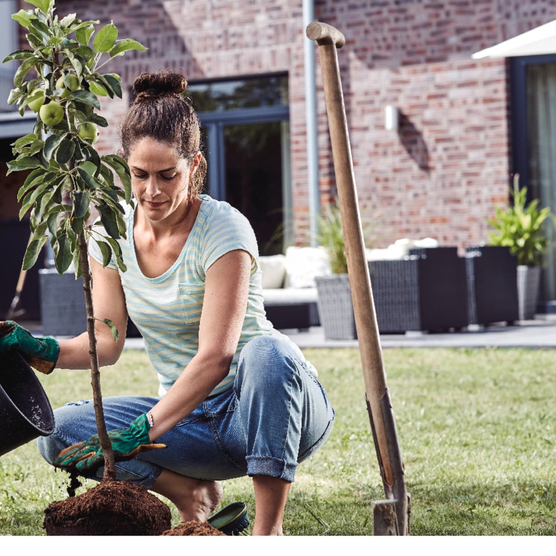 Frau pflanzt einen Baum im Garten