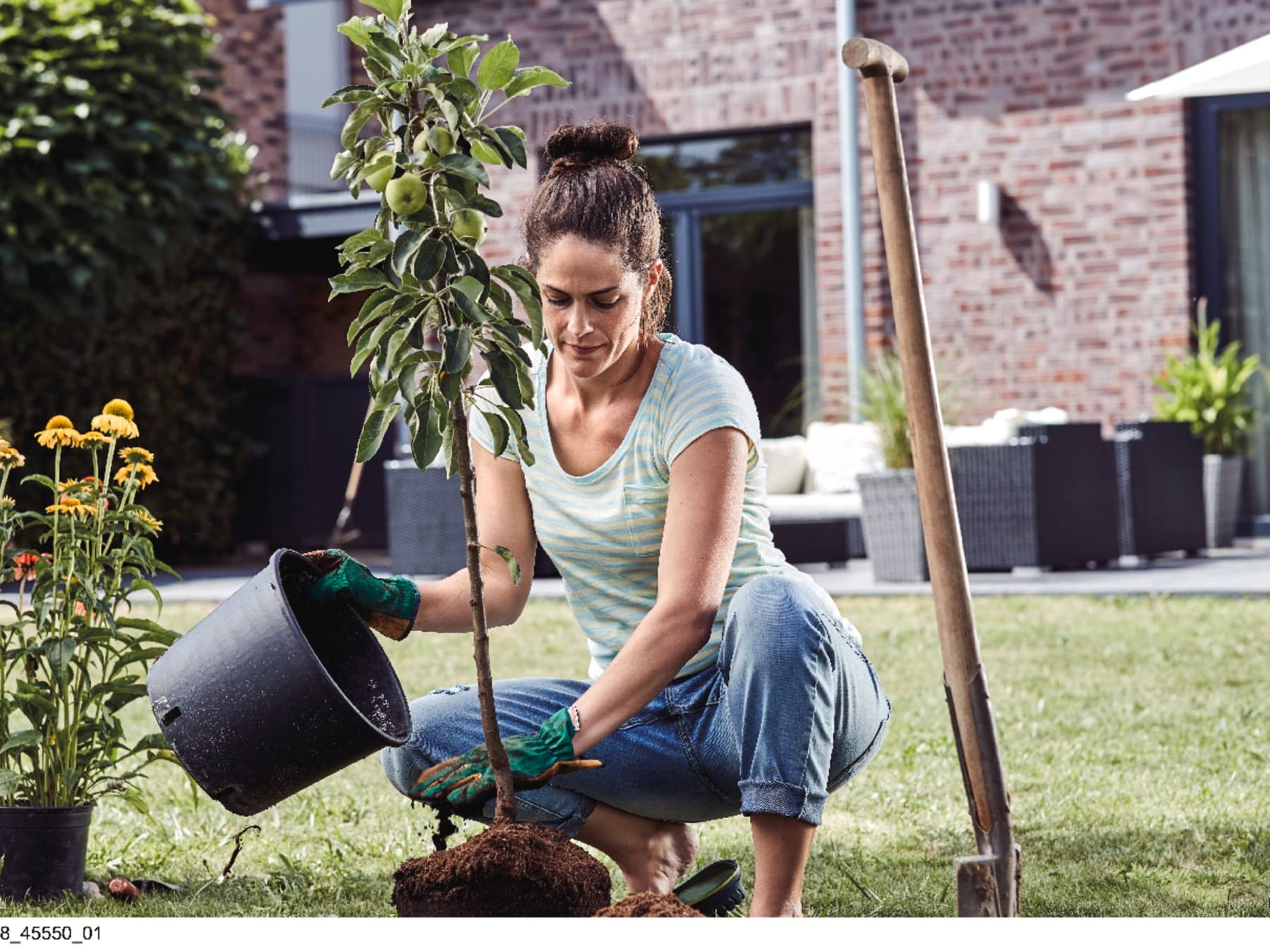 Frau pflanzt einen Baum im Garten