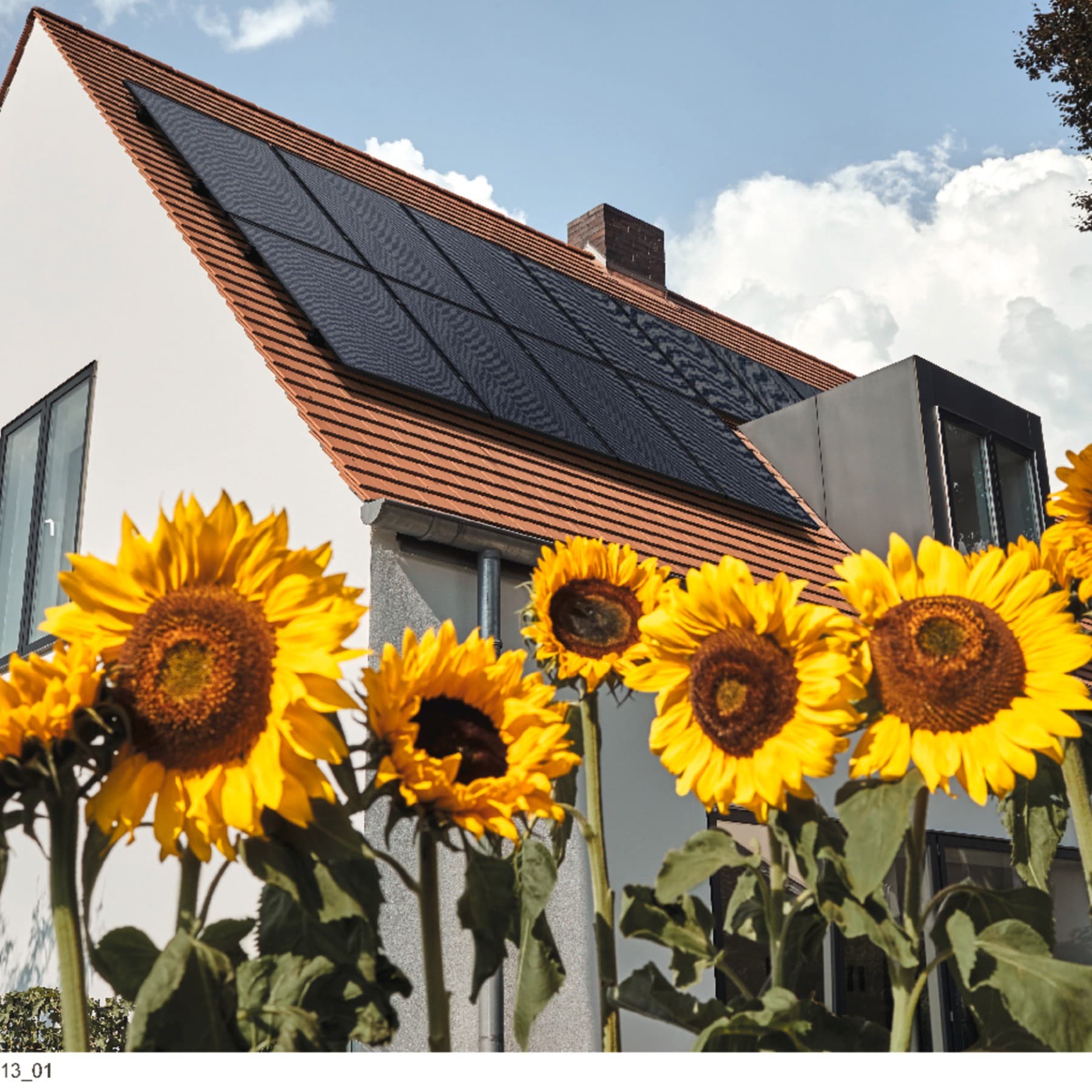 Sonnenblumen vor einem Haus