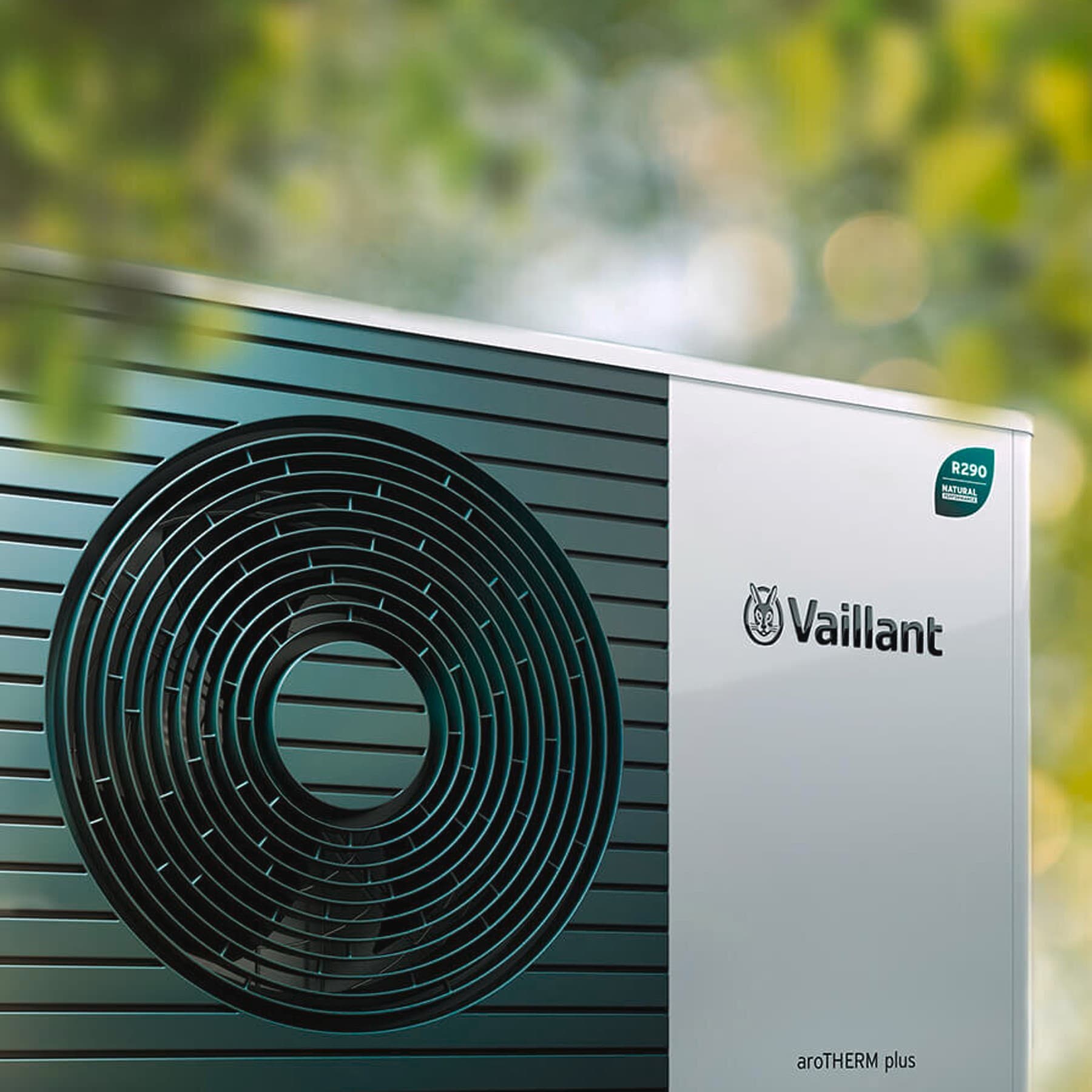 Wärmepumpe mit R290