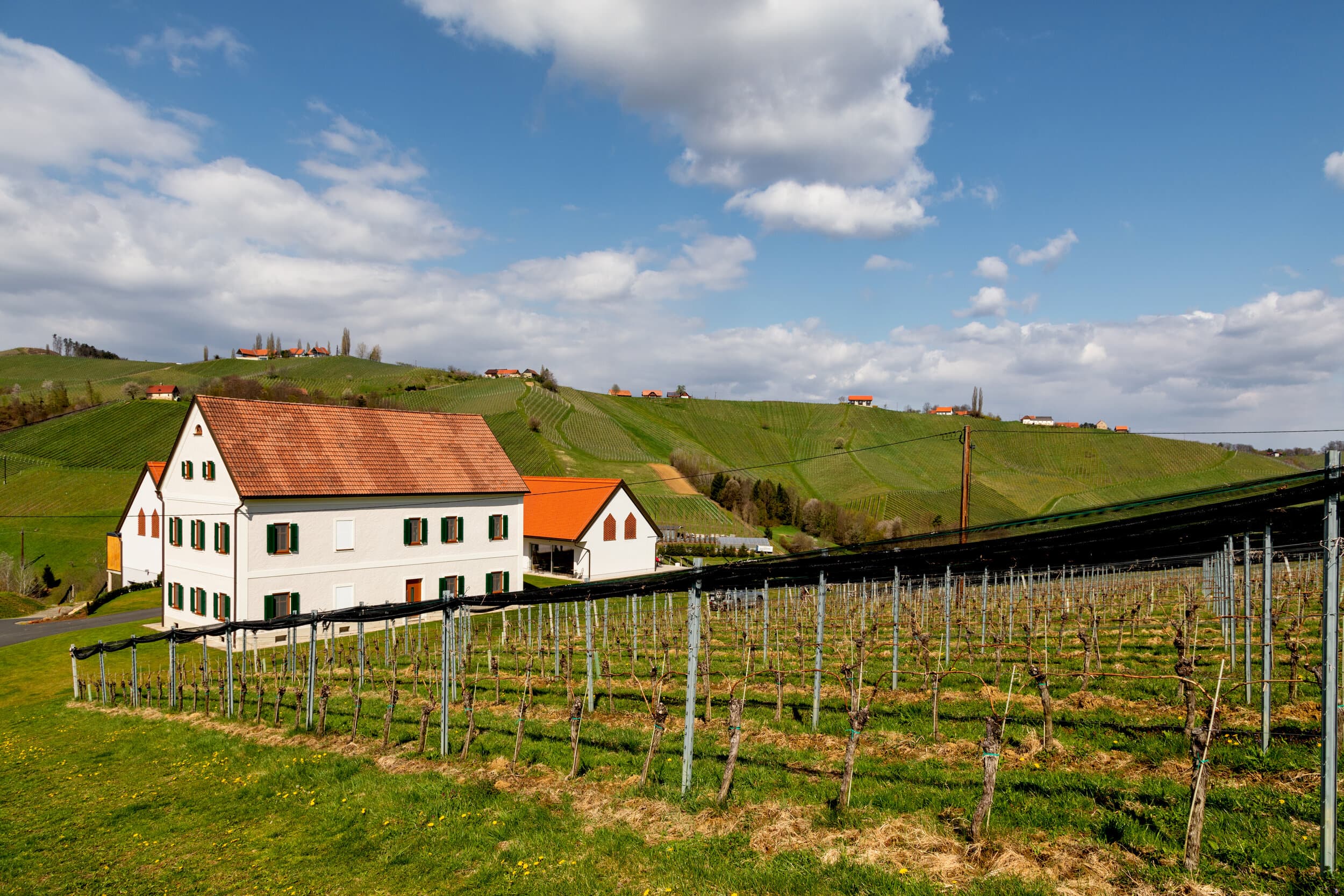 Weingarten vorm Haus