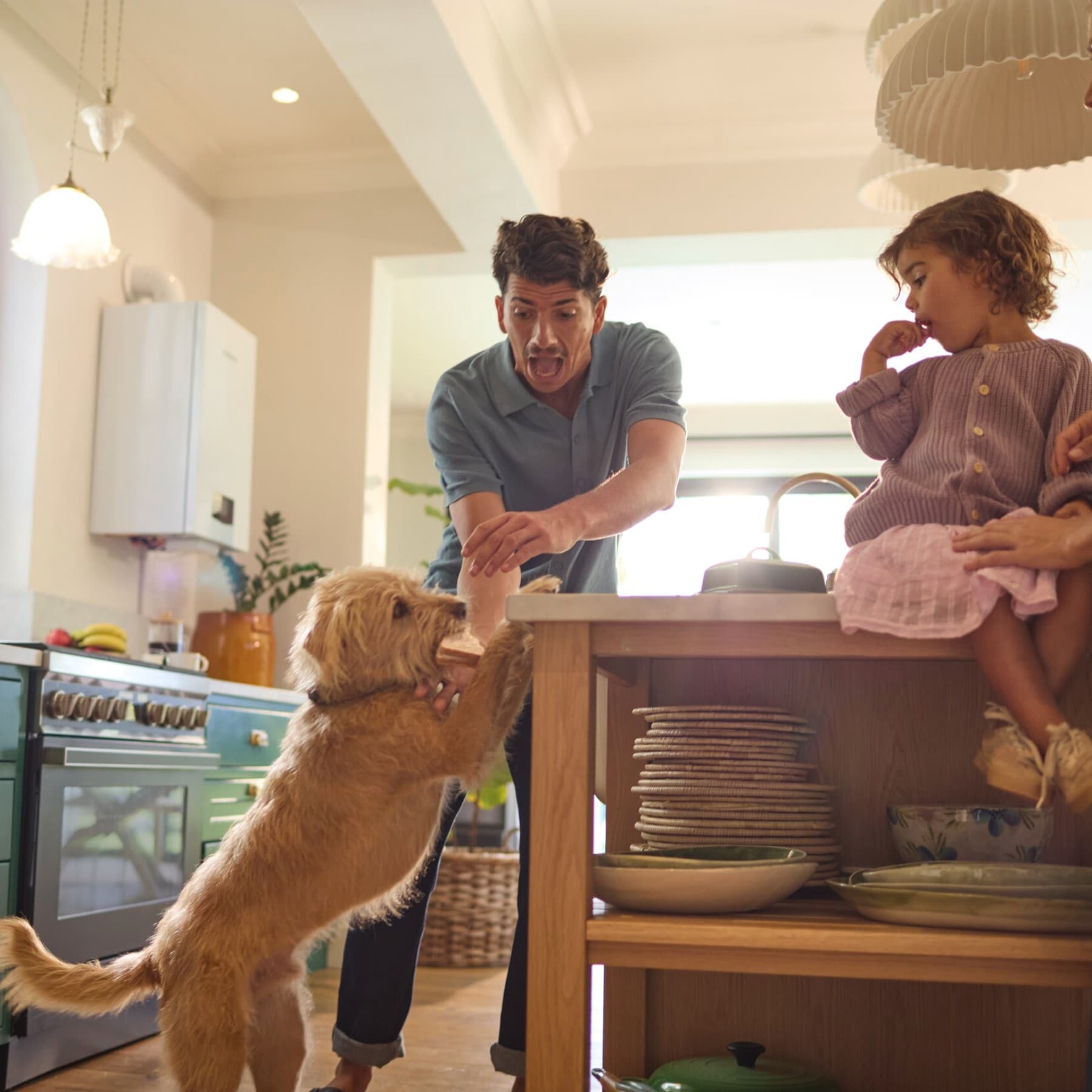 Hund in Küche mit Familie